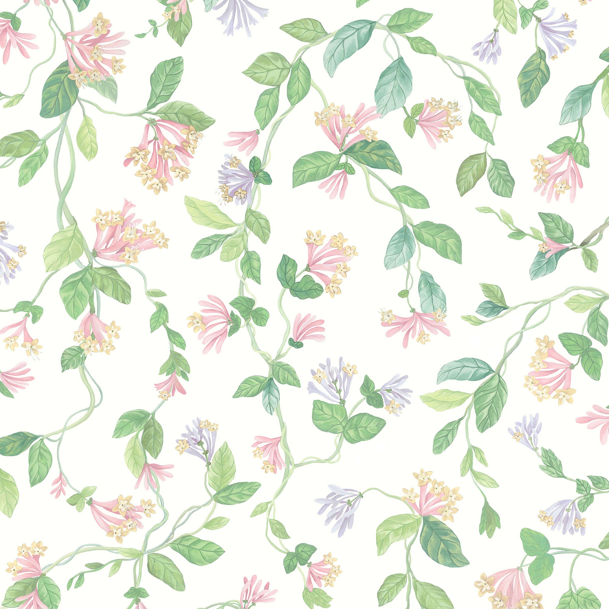 Flora Wallpaper 1243015 By Cole Son In Blush Sage Mulberry Cream